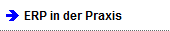 ERP in der Praxis