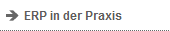 ERP in der Praxis